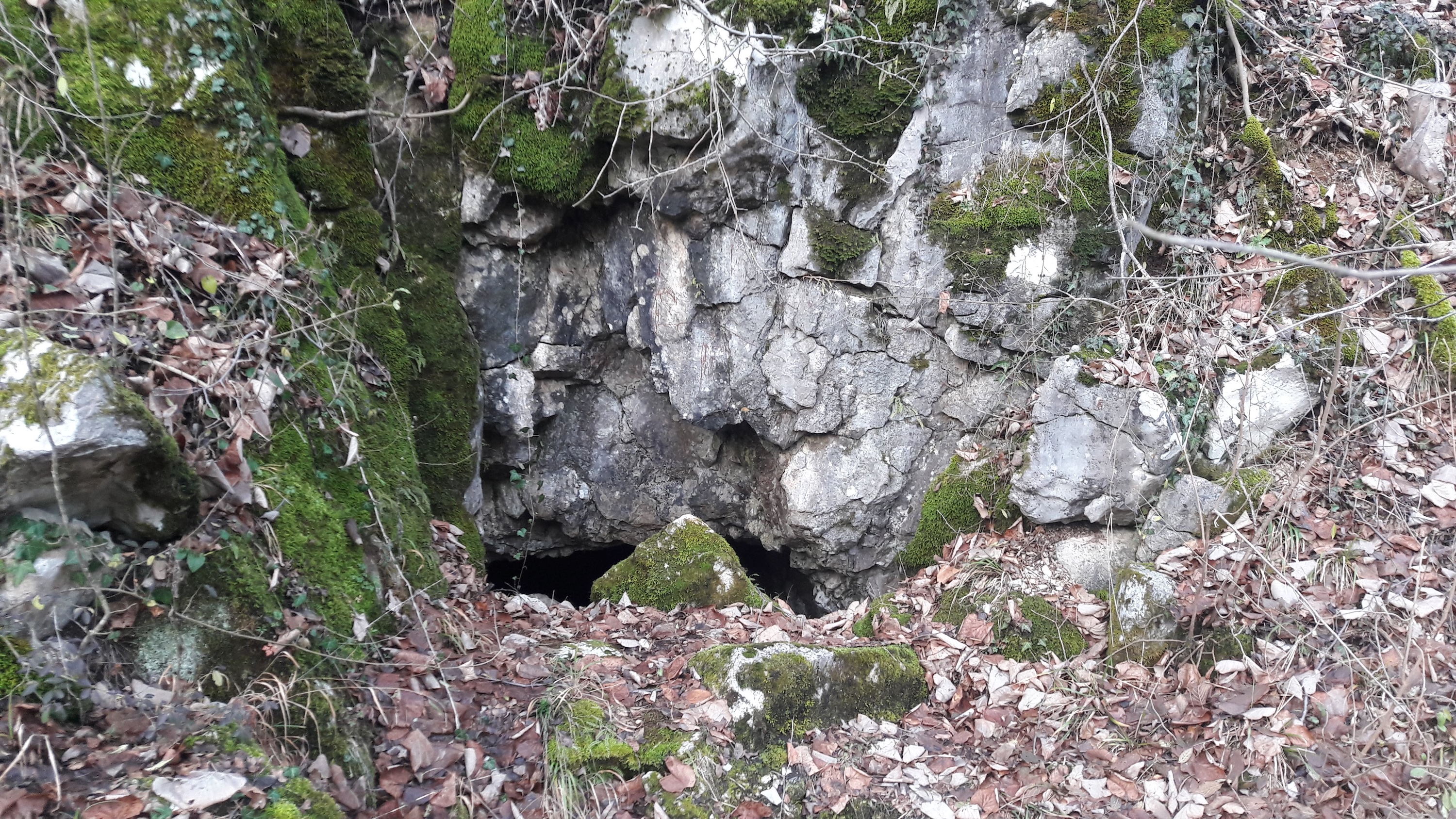 Peștera cu Helictite - Image 1